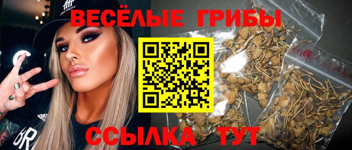 Галлюциногенные грибы Cubensis Мирный